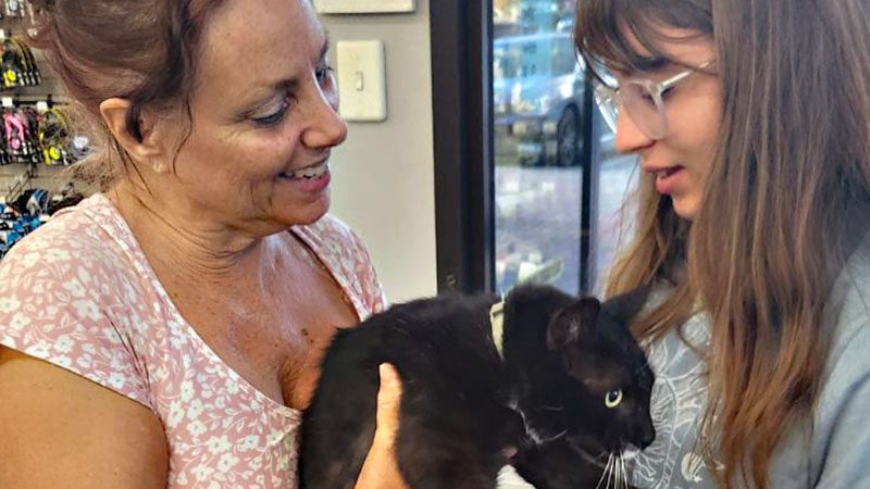 "Amazing": Cat Missing From Coral Springs Home for a Year Finds His Way Back to Owner 6 "Amazing": Cat Missing From Coral Springs Home for a Year Finds His Way Back to Owner