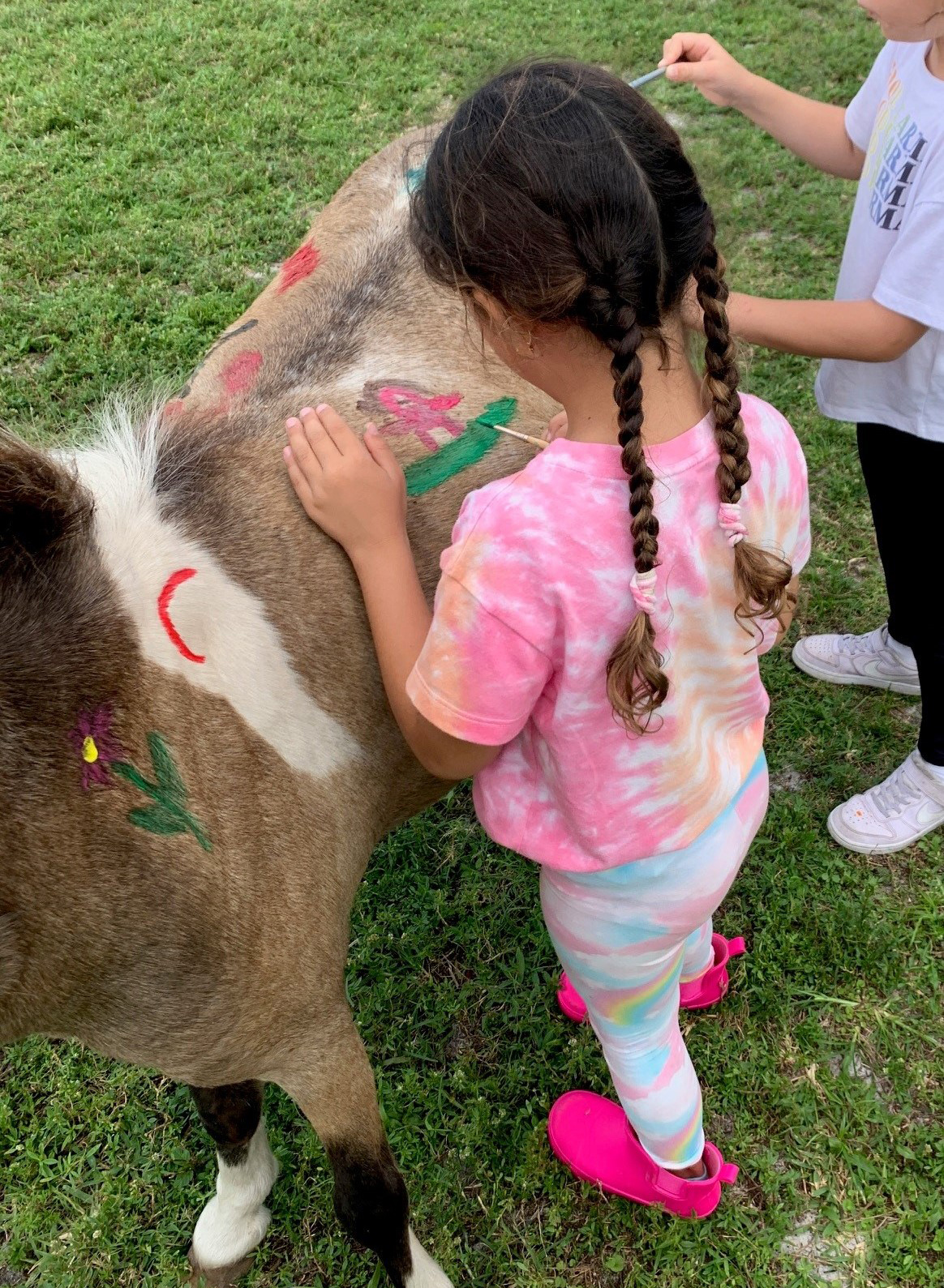 Exciting Summer Camps Await at Spitfire Farm and Twine Barn Sanctuary