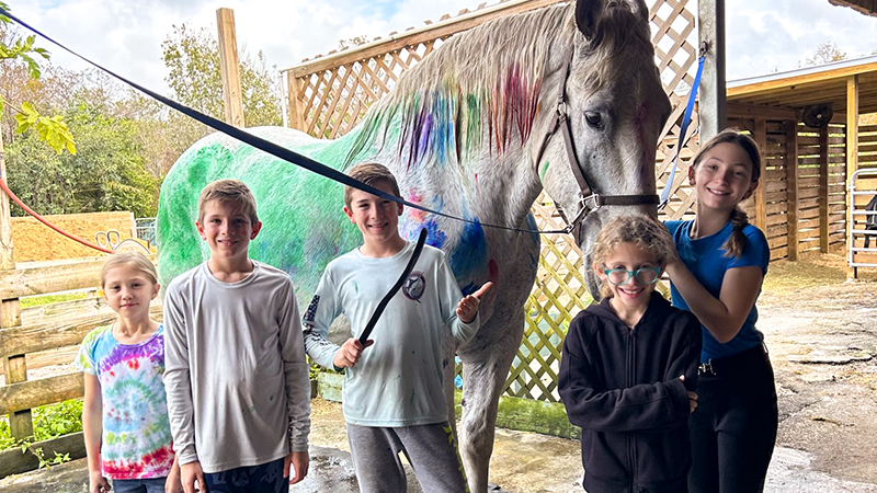 Exciting Summer Camps Await at Spitfire Farm and Twine Barn Sanctuary