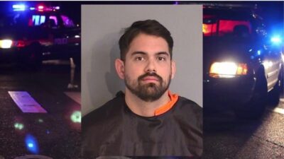 Coral Springs Man Arrested for Violent Abuse of Dog
