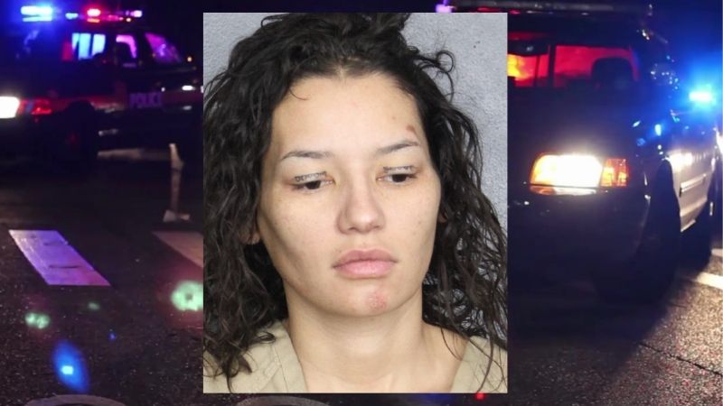 Baseball Bat Blow Lands Coral Springs Woman in Jail After Infidelity Dispute