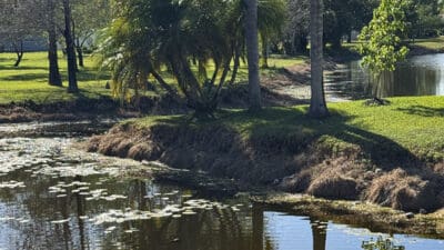 Environmental Group Demands End to Herbicide Spraying in Coral Springs2