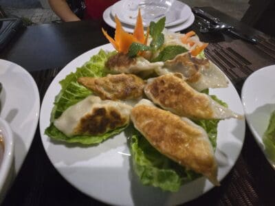 pan fried pork dumplings