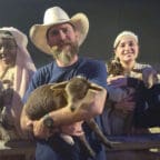 Local Farmer Provides Biblical Sheep for Bethlehem Revisited