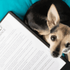 Daley, Jones File Bills to Boost Transparency in Pet Insurance