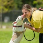 Broward County Animal Care Hosts Super Bowl Week Adoption Event to Help Pets Find Homes