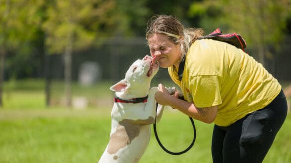 Broward County Animal Care Hosts Super Bowl Week Adoption Event to Help Pets Find Homes