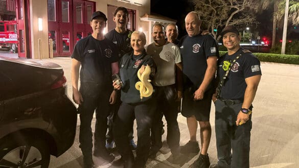 Dashboard Drama: Coral Springs Firefighters Rescue Pet Python From Car